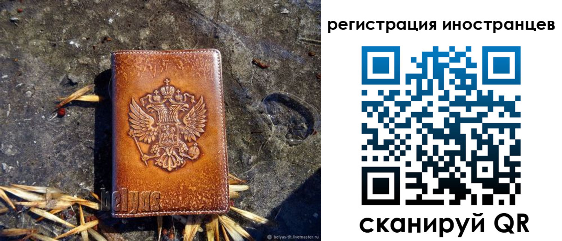 прописка регистрация в Аркадаке